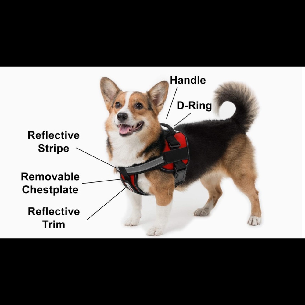 DogLine S dog harness - black & red and reflective